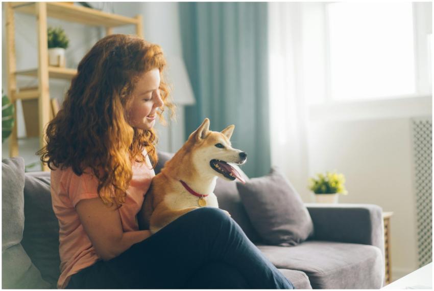 Red-haired woman seated on a cozy sofa indoors, en