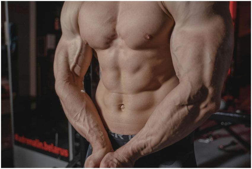 Shirtless male bodybuilder showing muscular torso