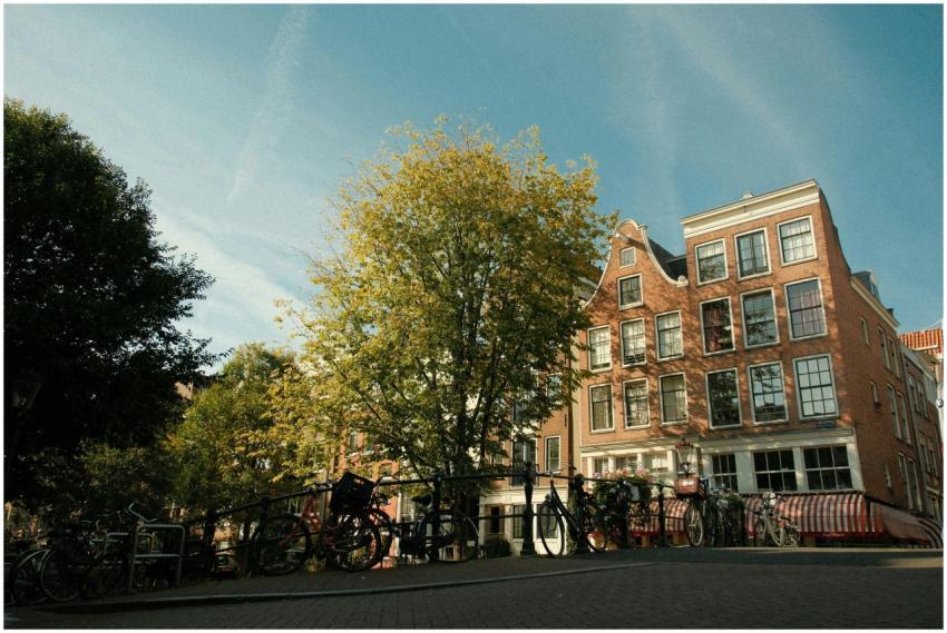 Free stock photo of amsterdam, amsterdam city, aut