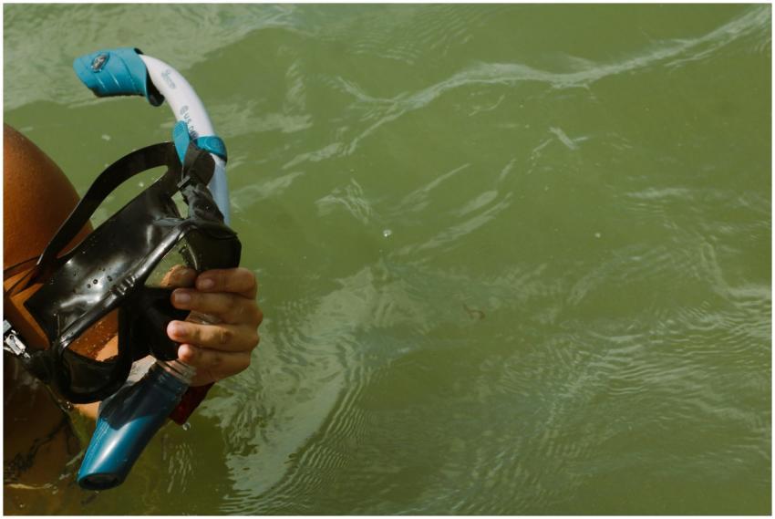 Free stock photo of snorkel, snorkel gear, snorkel