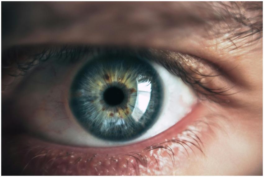 Detailed macro image capturing the intricacies of