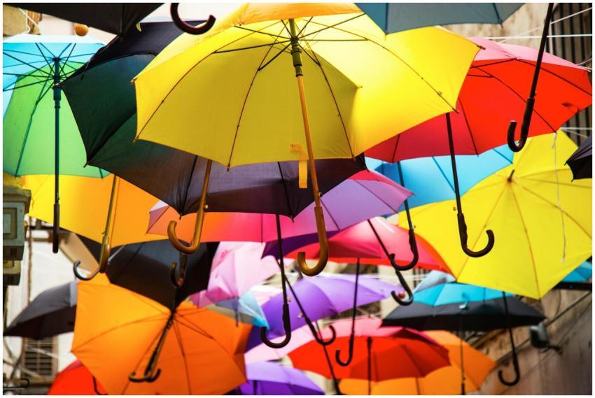 Vibrant display of colorful umbrellas suspended ou