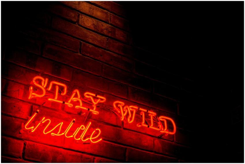 A vibrant neon sign with the words 'Stay Wild' glo