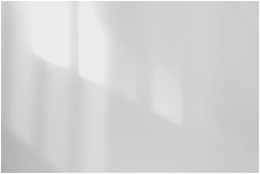 Soft shadows cast on a minimalist white wall creat