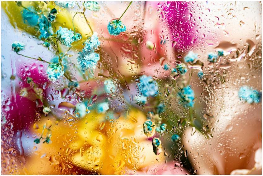 Colorful blooms viewed through a glass window with