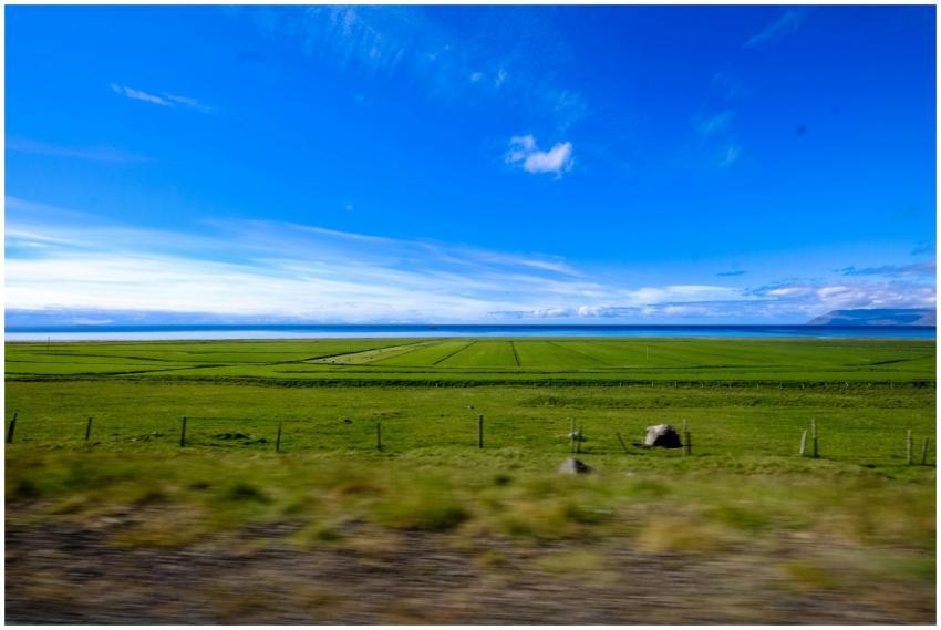 Vast green farmland under a vibrant blue sky, show