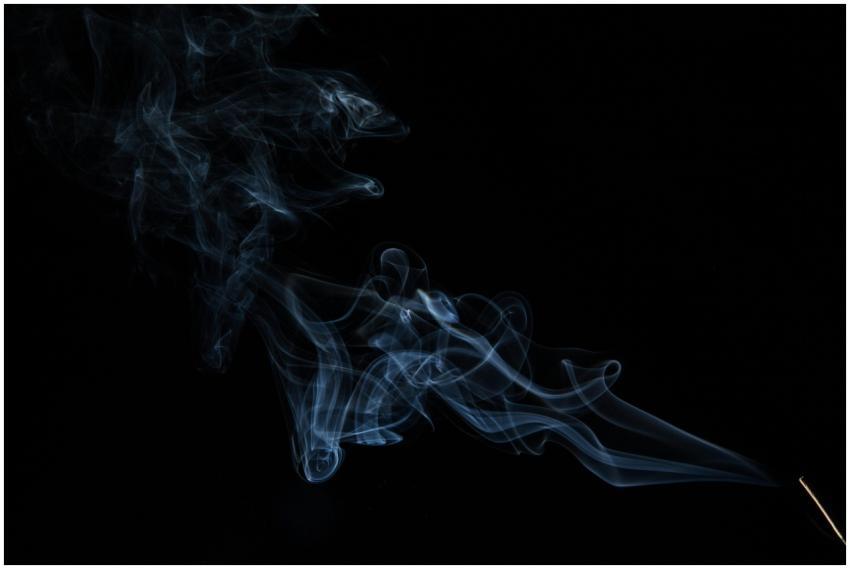 Abstract wisps of smoke in graceful motion on a da