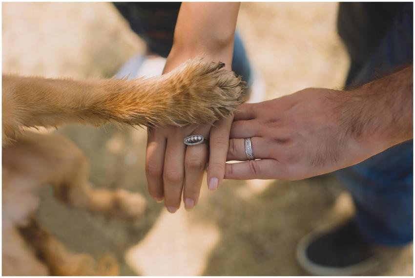 A close-up of hands and a dog's paw displaying uni