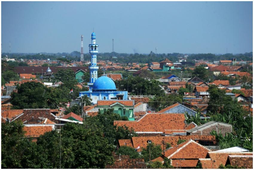 Aerial Red Tiled Roofs