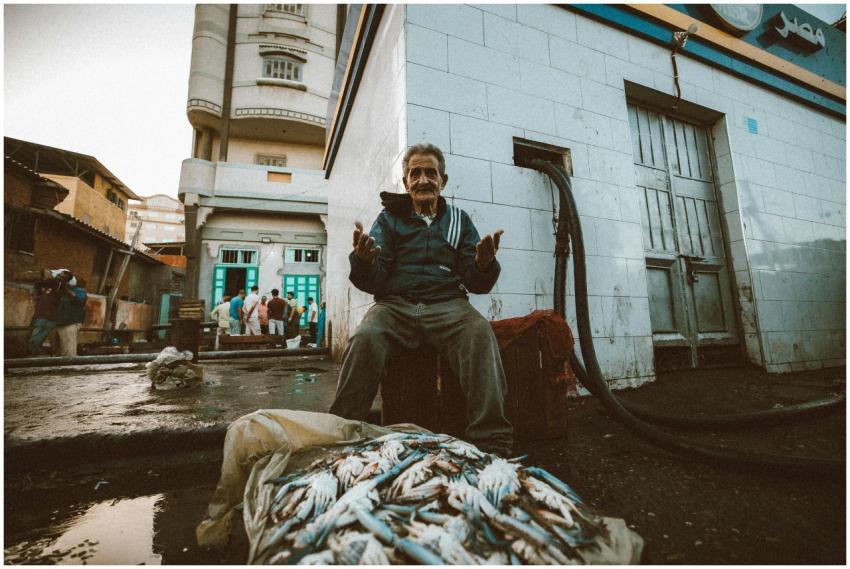 Free stock photo of award, background, beauty