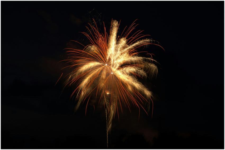 A vibrant burst of fireworks illuminates the night