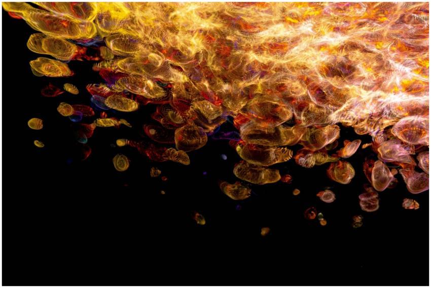 Dynamic abstract artwork featuring golden and colo