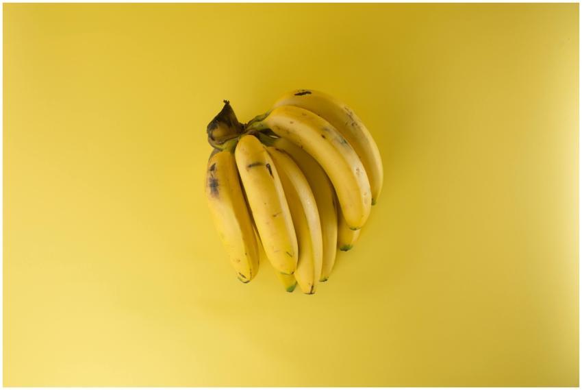 A vibrant bunch of ripe bananas on a matching yell