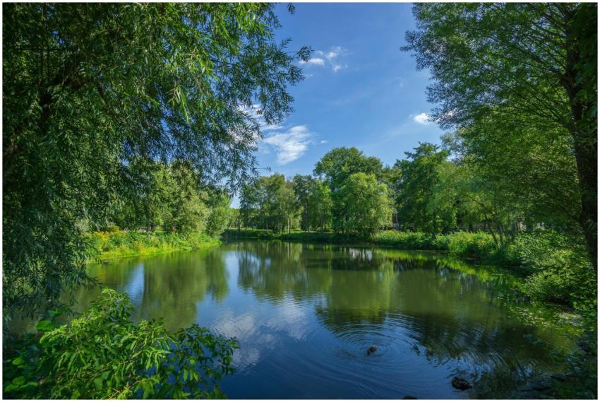 A tranquil lake scene with reflection of trees und