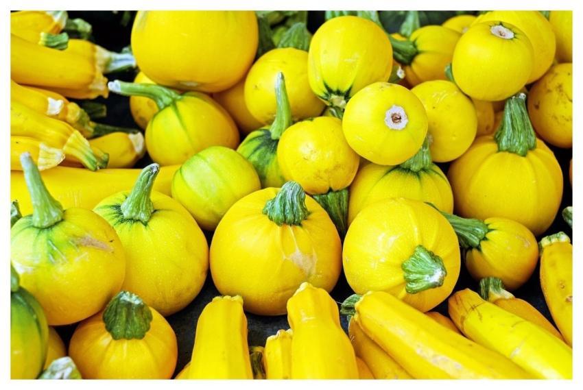 Zucchinis Vegetables Yellow Yellow Zucchinis