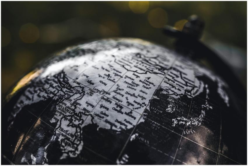 Detailed black and white close-up image of a globe