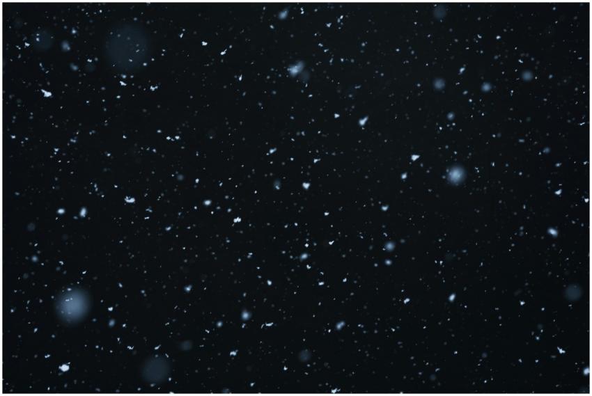 A beautiful dark night sky filled with falling sno