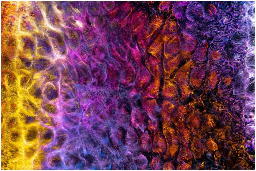 Colorful abstract texture with a vibrant digital d