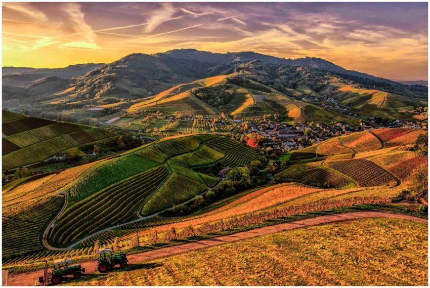 Scenic view of rolling hills, vineyards, and tract