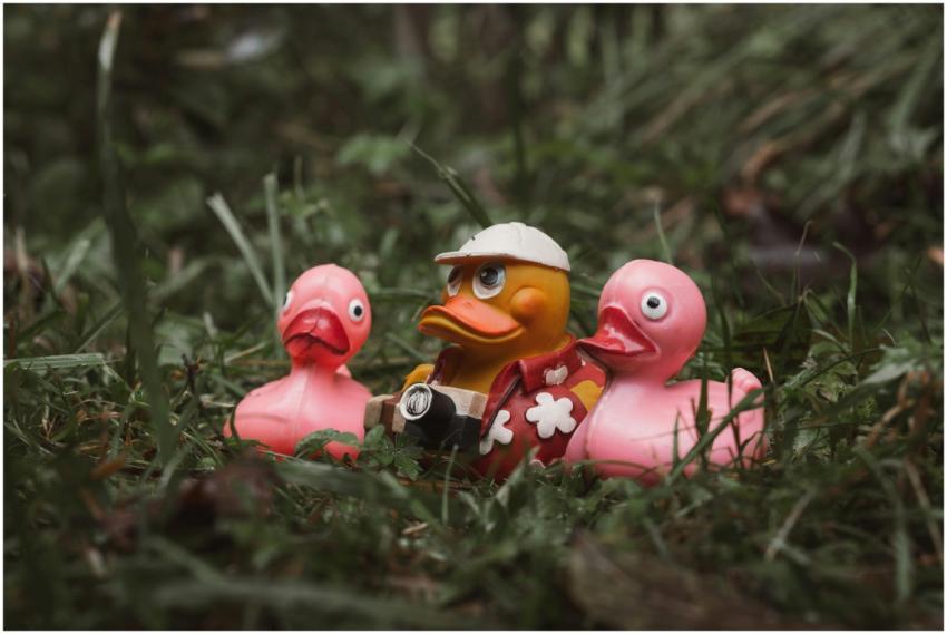 Playful rubber duck trio in an outdoor forest scen