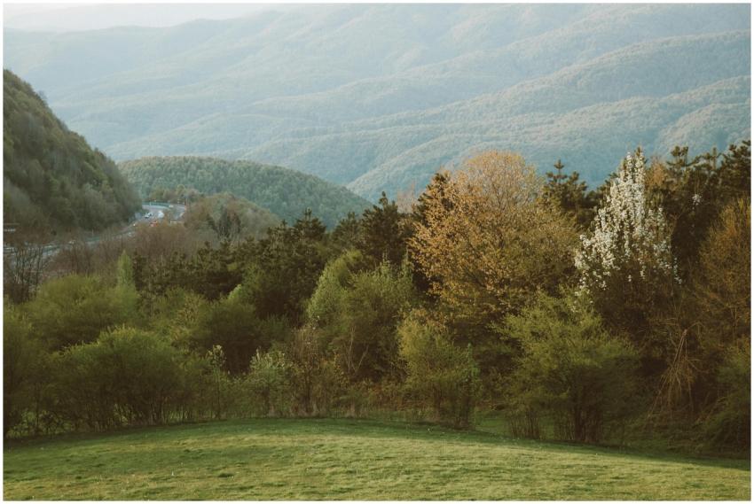 Free stock photo of 4k landscape, aesthetic, autum