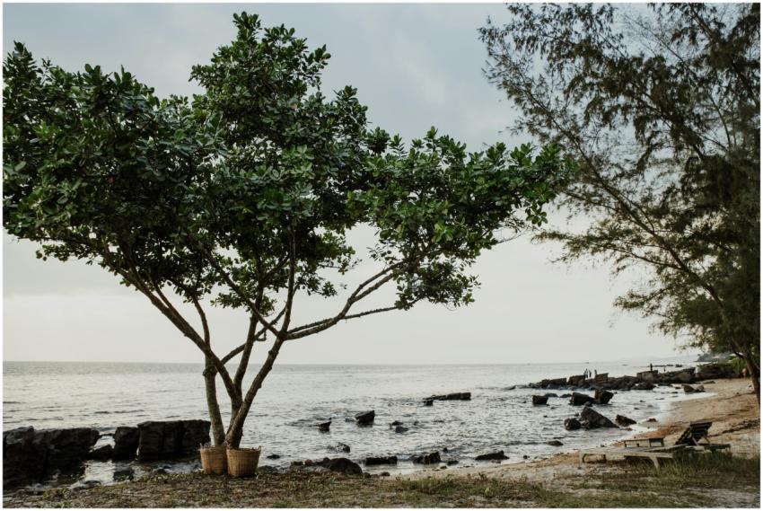 Serene beach with lush greenery and rocky shore in
