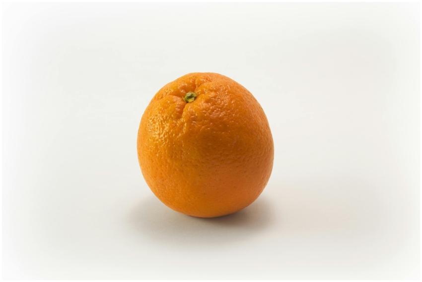 A single fresh orange isolated on a white backgrou