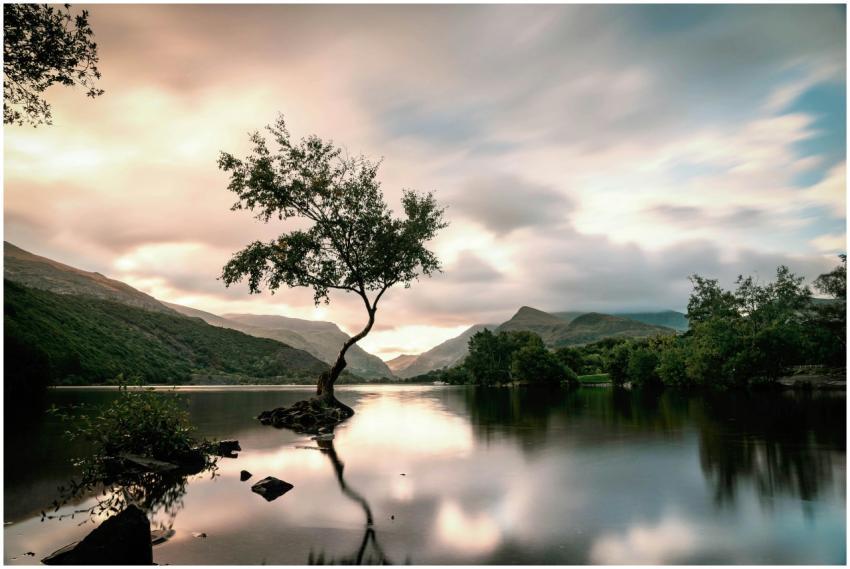 Peaceful lake with a lone tree during sunset in Gw