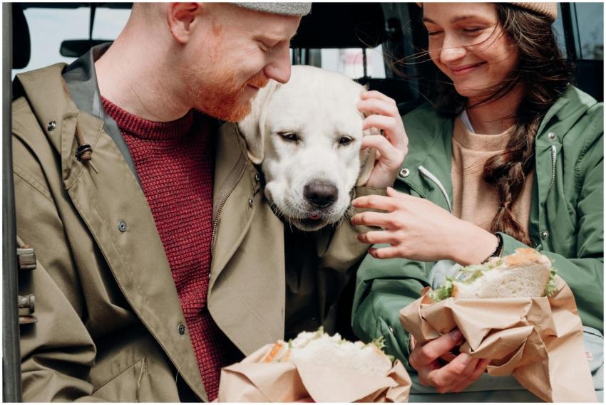 Smiling couple shares a moment with their Labrador