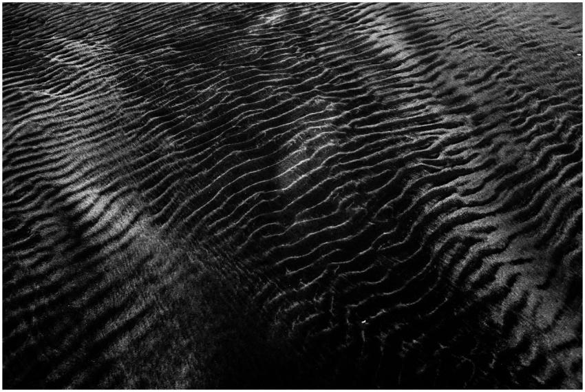 Abstract black and white photo of sand texture wit