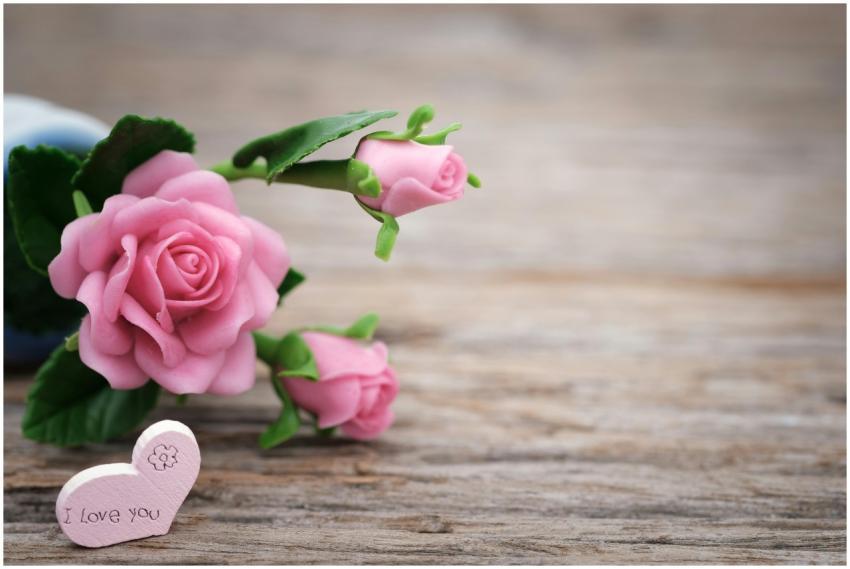 Pink roses and a heart-shaped note on wooden backg