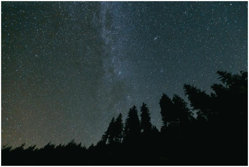 A stunning view of the star-filled night sky above