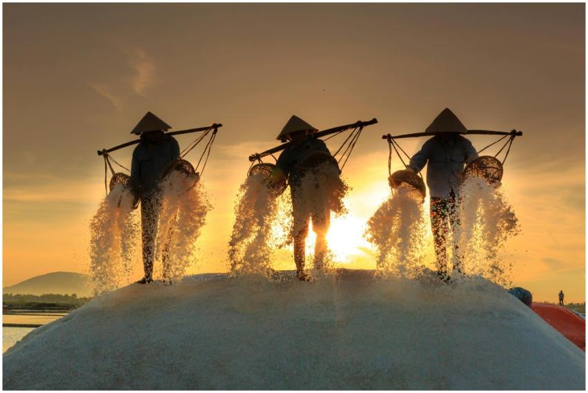 Workers with baskets silhouetted against the sunse