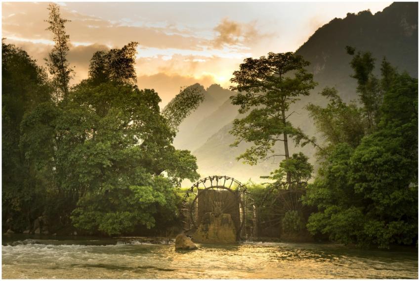 A serene sunrise view of a lush forest with a wate