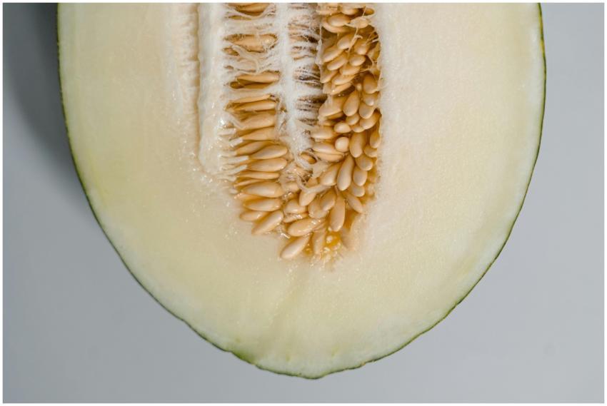 Detailed image of a honeydew melon half showcasing