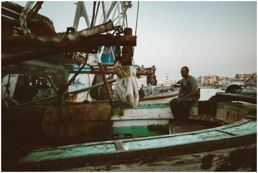 Free stock photo of award, background, beauty