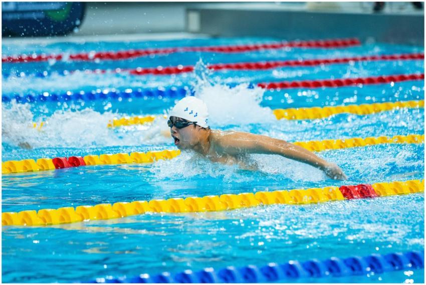 Free stock photo of competitive swimming