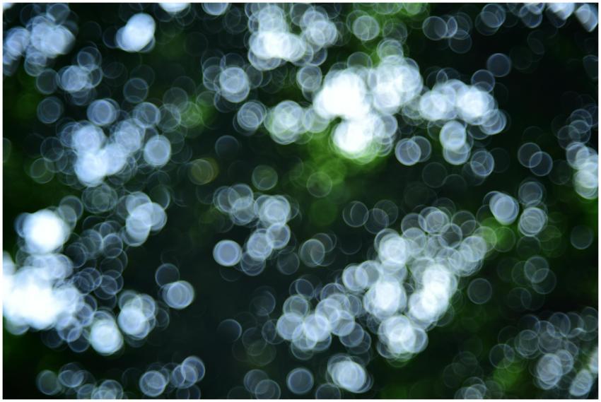 Stunning abstract bokeh effect with circular light