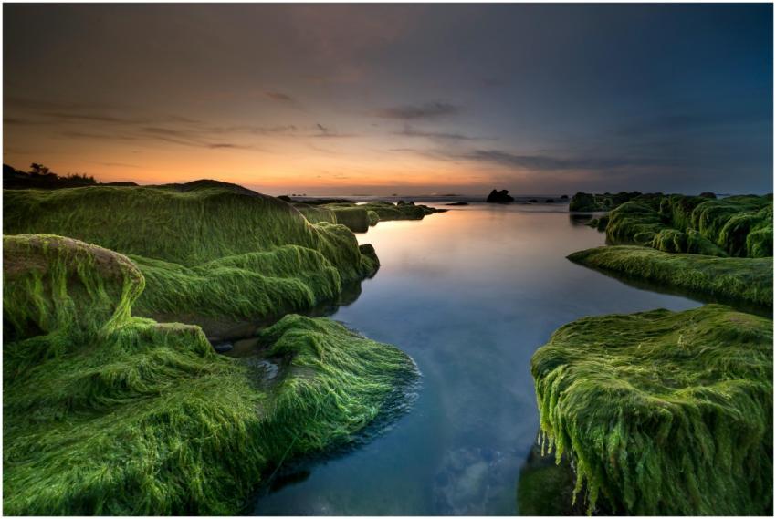 Vivid sunset over moss-covered rocks by the seasid