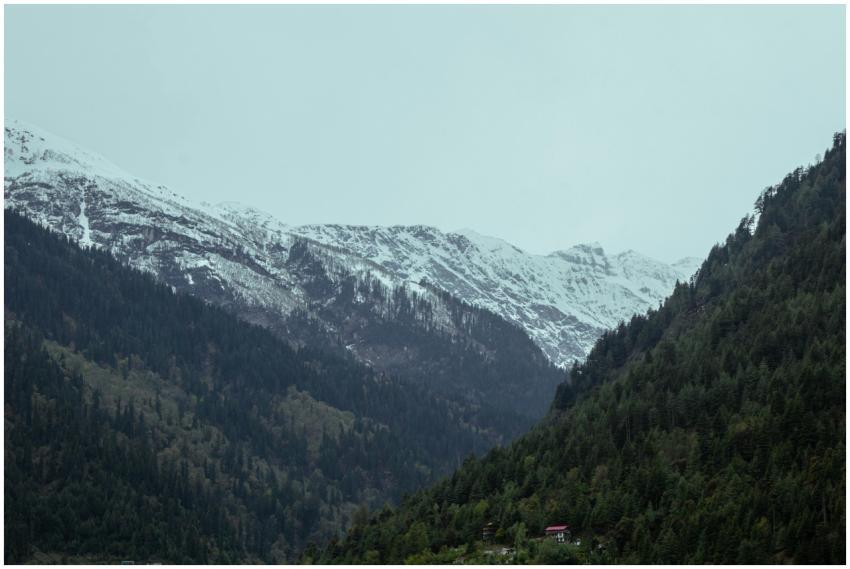 Snow Capped Mountains Verdant