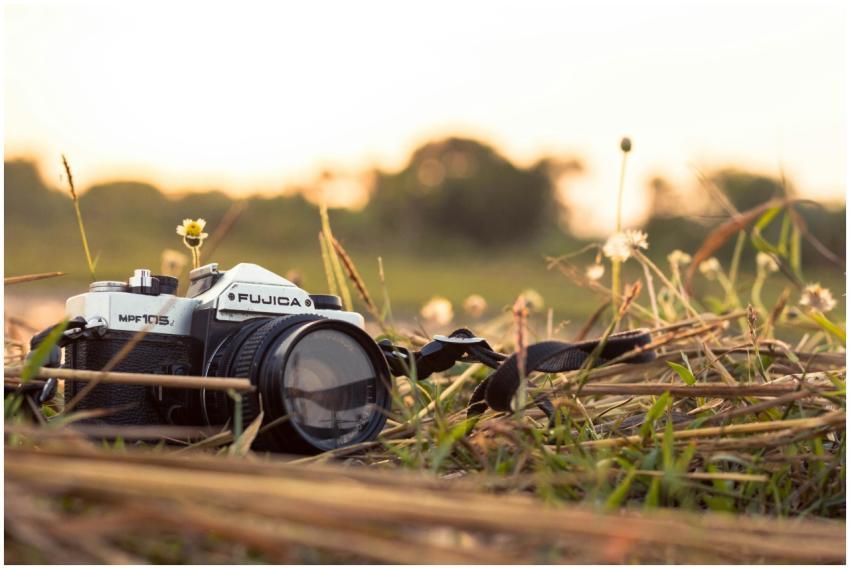 A vintage camera lying in a field with dry grass a