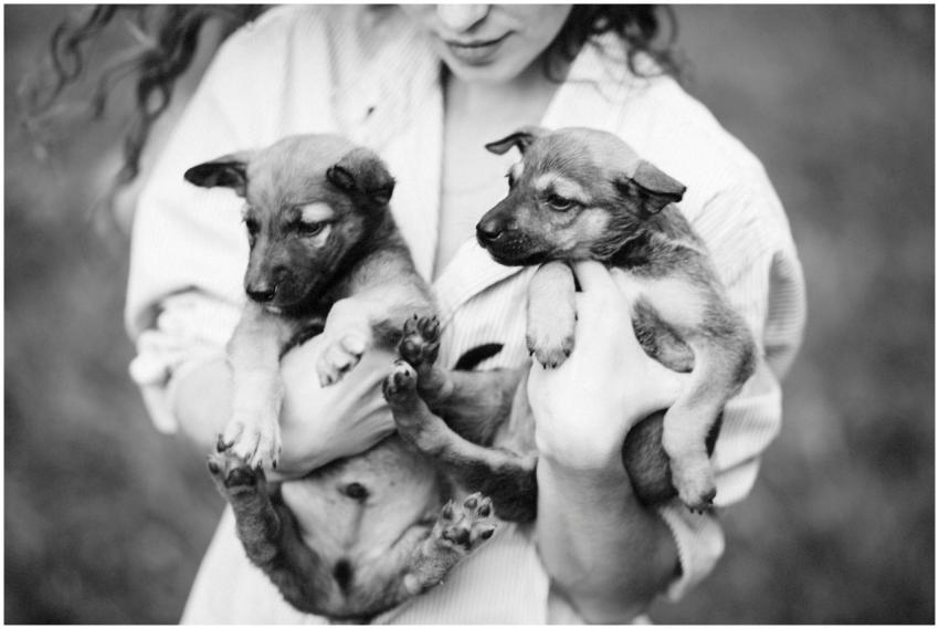 A woman gently holding two adorable puppies, captu