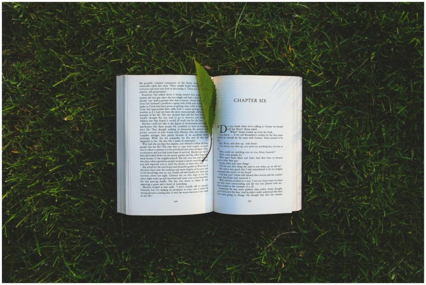 An open book lies on the grassy field with a leaf,