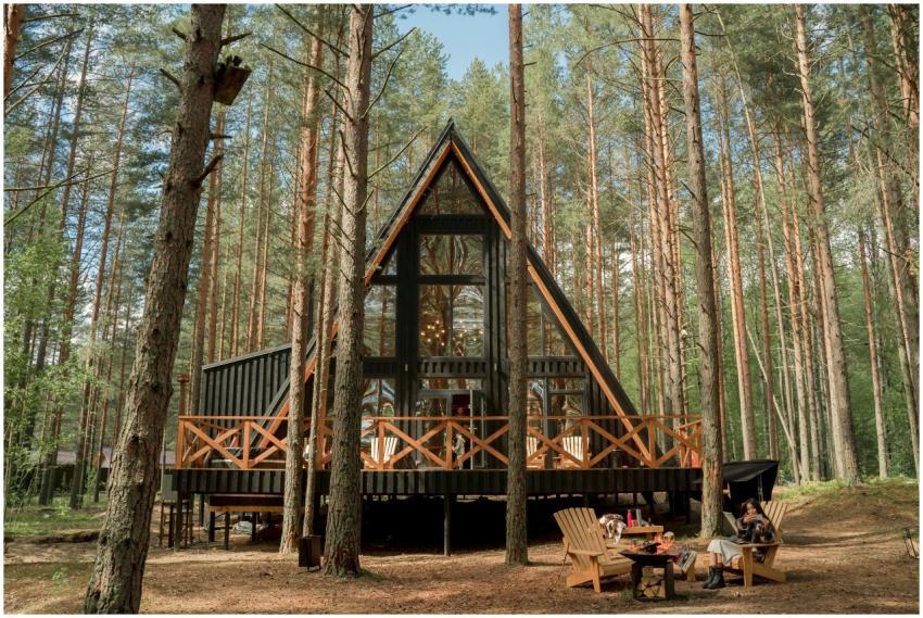 A-frame cabin nestled among pine trees with outdoo