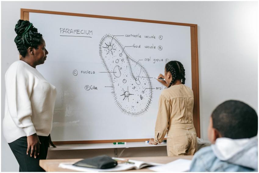 African American woman at whiteboard watching girl