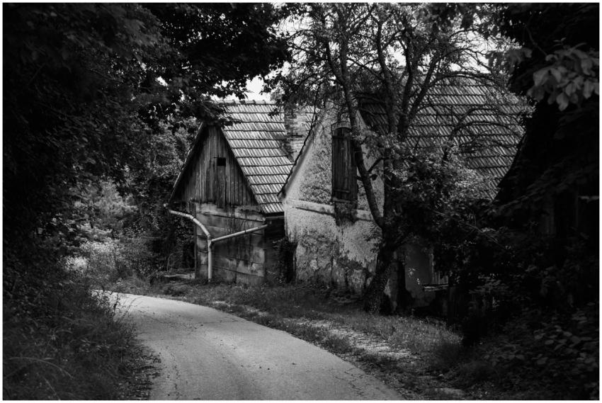 Free stock photo of abandoned, black and white, co