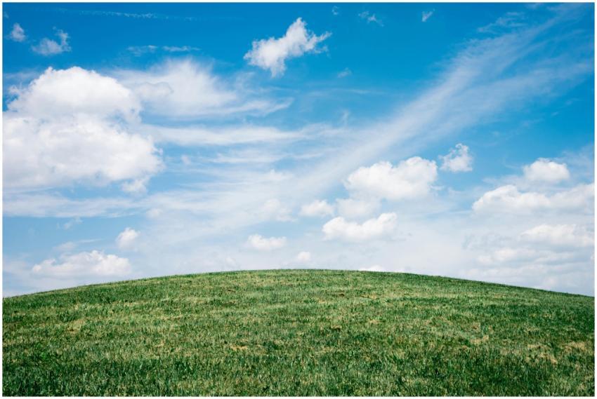 A serene meadow with a blue sky and fluffy clouds