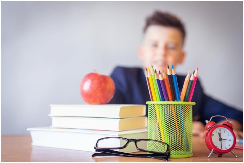Schoolboy smiling behind a desk with books, pencil