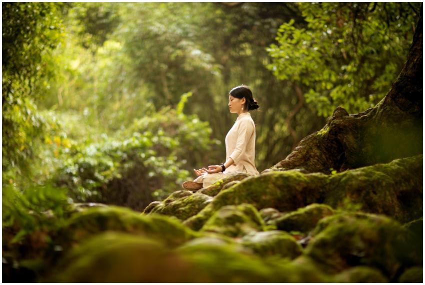 A woman in serene meditation in a lush forest, sur