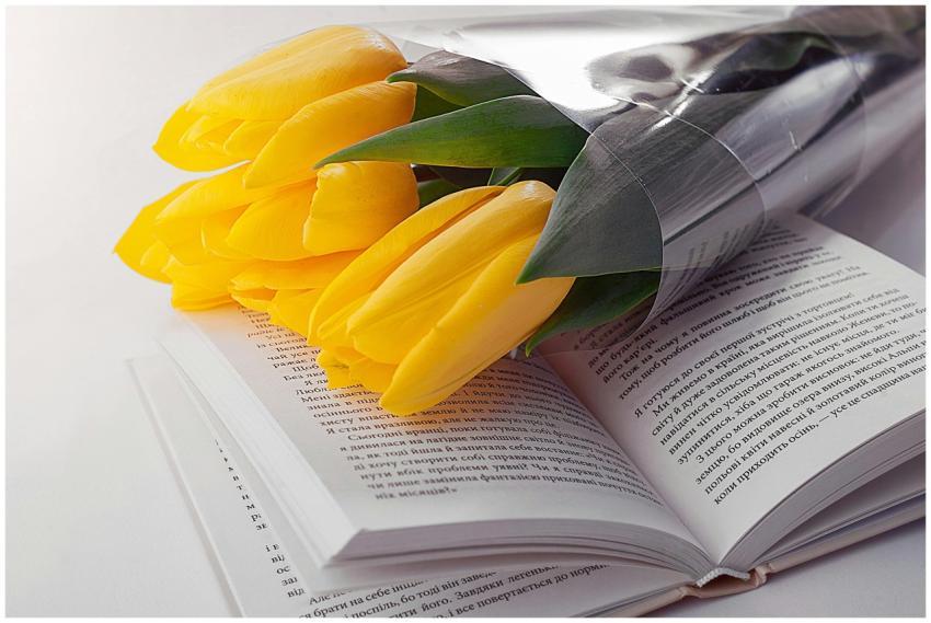Yellow tulips on a book symbolize romance and know